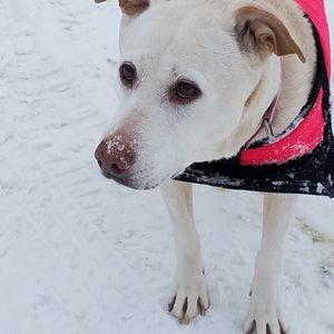 Meet your Posher, Michele